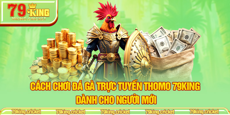 Cách Chơi Đá Gà Trực Tuyến Thomo 79KING Dành Cho Người Mới