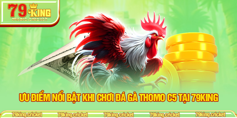 Ưu điểm nổi bật khi chơi đá gà Thomo C5 tại 79KING